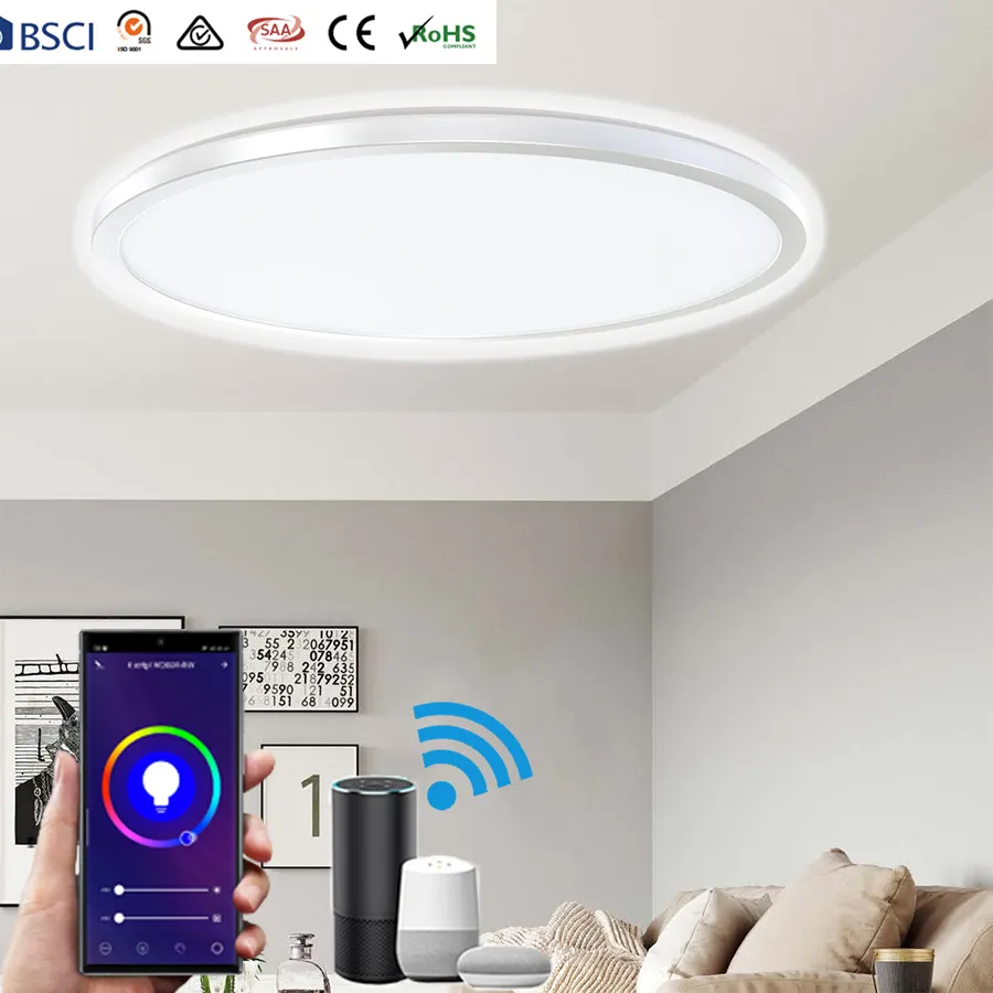 Modern panel recessed Round RGB LED Ceiling Home Lighting Amazon Alexa TUYA wifi DALI LED Smart Ceiling Light