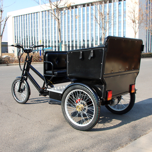 Tricycle électrique à assistance au pédalage, taxi-rickshaw, pneus larges, tricycle électrique à <span class=keywords><strong>trois</strong></span> <span class=keywords><strong>roues</strong></span>, vélo cargo, tricycles électriques à <span class=keywords><strong>trois</strong></span> <span class=keywords><strong>roues</strong></span> pour <span class=keywords><strong>adultes</strong></span> - Product Image 2