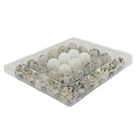 Boîte d'emballage rectangulaire transparente antichoc en PET jetable pour œufs de caille, modèle BHAB-QE1, épaisseur 0,18-0,5 mm, pour aliments