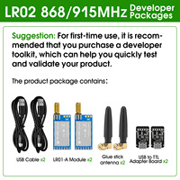 LoRa ASR6601 868/915Mhz SOC -138dBM Colección DE DATOS 22dBm Baja potencia 5KM Largo alcance UART PCB + IPEX LoRaWAN Módulo IoT