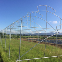 Serres agricoles à toit en film plastique à simple portée avec ventilation supérieure