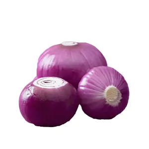 2023 of Sinofarm brand fresh peeled onion price red and yellow onion peeled Chinese fresh onions fresh vegetables for sale