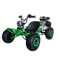 Kart tout-terrain personnalisé de 208 cm³ pour adultes, kart de course à pédales tout-terrain avec pneus de 8/10 pouces pour une utilisation en montagne et sur les dunes