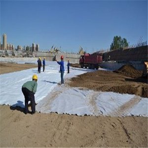 Membrane de drainage géotechnique en tissu non tissé PP <span class=keywords><strong>pour</strong></span> <span class=keywords><strong>allée</strong></span> en <span class=keywords><strong>gravier</strong></span> - Product Image 2