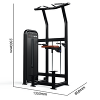 Máquina de Asistencia para Dominadas y Flexiones con Tubo Ovalado, Peso Seleccionable, Directo de Fábrica, Estación de Dominadas y Flexiones para Gimnasio Comercial, Entrenamiento Asistido