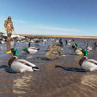 Décoys de chasse au canard mallard en PP imperméable, style multiple personnalisé, MJSP MJ-HD05 avec piquet en acier à ressort trempé