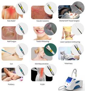 L'équipement laser à diode <span class=keywords><strong>de</strong></span> bureau 980nm pour le traitement multifonctionnel des maladies vasculaires <span class=keywords><strong>de</strong></span> physiothérapie comprend <span class=keywords><strong>la</strong></span> perte <span class=keywords><strong>de</strong></span> poids - Product Image 3
