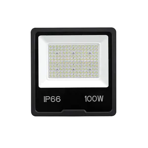 New Arrival Patent Design From Direct Factory 100w IP65 Led Floodlight