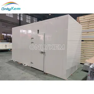 Portable Cold Room Walk In Chamber Industrial Cooling Room For Ice Cream Fruits With NSF