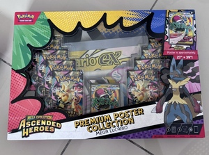 Collection de posters premium PTCG Pokémon 100 % authentiques sous blister : Mega Lucario et Mega Gardevoir – Cadeau de cartes à collectionner - Product Image 5
