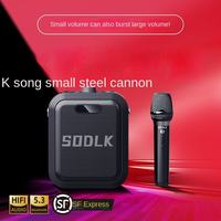 Enceinte Karaoké Portable K12 30W avec Micro Sans Fil TWS, Audio Sans Perte, Réglage du Reverb, Longue Autonomie, Idéale pour Fêtes en Extérieur
