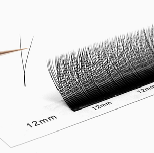 Nouvelle Arrivée Extensions de Cils en V Étroit 0.07mm Courbure C D Effet Petit Ventilateur Volumineux en Maille - Product Image 1