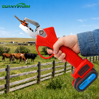 Nouvelles pinces à étiquettes d'oreille électriques pour bétail, étiquetage automatique des oreilles, garantie de 6 mois, codage laser agricole, prévention des maladies