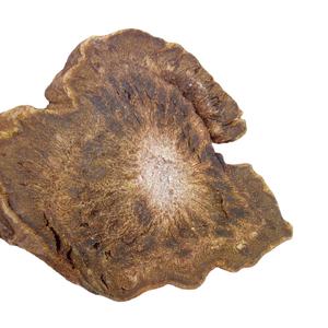 Raw seca rhubarb indiana radix polegar revat chinni darmera pelata raízes para chá - Product Image 1