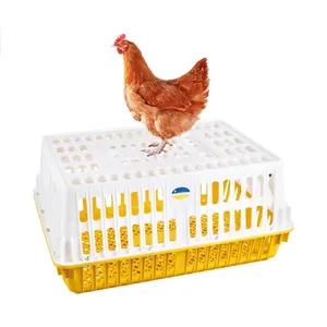 new type poultry transport crate moulds inject mold plastic chicken cages egg layer hen duck chicken house