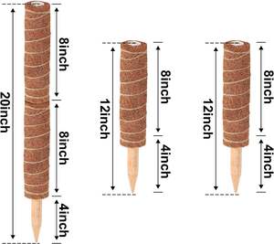 12 "Plant Stakes Moss Pole Tomato Plant Sticks <span class=keywords><strong>Support</strong></span> <span class=keywords><strong>pour</strong></span> la croissance des <span class=keywords><strong>plantes</strong></span> <span class=keywords><strong>grimpantes</strong></span> à l'<span class=keywords><strong>intérieur</strong></span> - Product Image 2