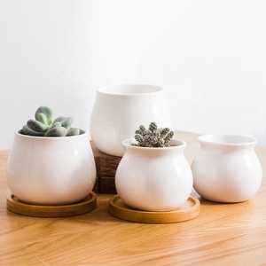 Mini pot <span class=keywords><strong>de</strong></span> plantes blanc personnalisé, plateau en bambou, petit pot <span class=keywords><strong>de</strong></span> fleurs, jardinière succulente en céramique avec soucoupe - Product Image 1