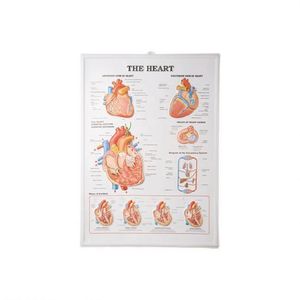 50160,26 Gráfico para Corazón, 3D - Product Image 1
