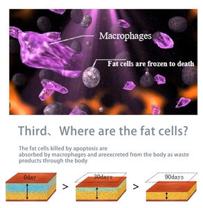 2026 Eight Handles for Freezing BoaroI Two Handles for Ice Carving <b>Skin</b> <b>Tightening</b> for Salon - Product Image 3