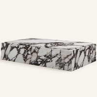 Table basse moderne en marbre Viola pour salon