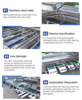 Lonkia Fruit & Groente Sorteermachine Avocado Kersen Sorteermachine Groente Sorteermachine
