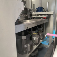 Machine de détartrage robuste en acier au carbone pour le détartrage des tôles d'acier laminées à chaud