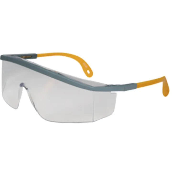 Deltaplus KILIMANDJARO CLEAR Work Protective Eye Protection Anti Scratches Safety Goggles for Men