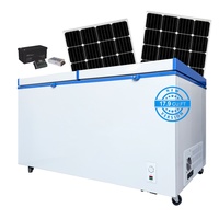 Congélateur solaire professionnel 508L à double porte DC 12V 24V avec panneaux solaires pour le marché d'Afrique et du Moyen-Orient