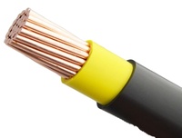 Fil monobrin ignifuge NH-BV 450/750V pour systèmes d'urgence incendie et de sécurité