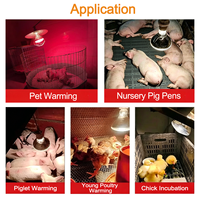 Lampe chauffante infrarouge pour animaux, ampoule chauffante épaisse anti-explosion pour élevage de volailles, bétail, poulets, porcs, moutons