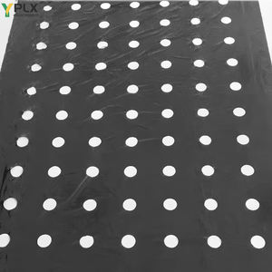 Avec trous Pe Mulch Film Isolene Plastic Mulch Agricultural Plants Cover Film Frost <span class=keywords><strong>Protection</strong></span> Keep Warm Control for Sale - Product Image 3