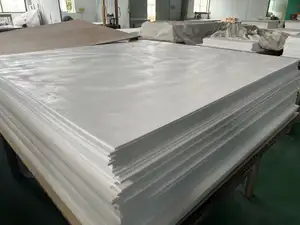 Feuille de PTFE 100% de bonne qualité