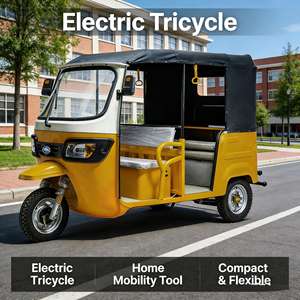 Tricycle Électrique Ouvert à Trois Roues pour Passagers, avec Abri, Charge Utile 400kg, 60V >1000W, Autonomie 70-90km - Vente Chaude - Product Image 4