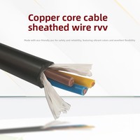 Câbles RVV 3 ou 4 conducteurs, flexibles, pour alimentation et servocommande, homologués 600V, fabriqués à Shanghai pour l'utilisation dans les tambours de levage et les grues mobiles