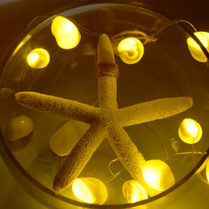 Cadena de luces LED de <span class=keywords><strong>concha</strong></span> de estrella de mar Natural con batería, luces blancas cálidas para fiestas, dormitorio, decoraciones de boda - Product Image 3