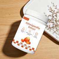 Mélange de Boisson Apaisante Électrolytes Ashwagandha Vitamines Magnésium L-Théanine – 20 Portions Sachet Voyage – Favorise l'Équilibre du Cortisol et le Sommeil