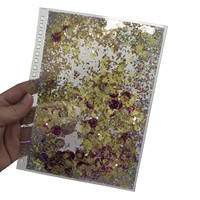Offre Spéciale couverture de carnet de notes à reliure en PVC transparent personnalisé avec paillettes