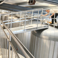 Système de brassage de micro-bière artisanale 300L 3BBL, équipement de brasserie à domicile, ensemble de fermentateurs en acier inoxydable