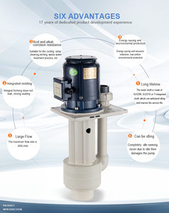 Pompe centrifuge verticale en fer 220V/380V pour eaux chimiques, haute résistance aux acides et alcalis, personnalisable ODM/OEM pour le traitement des eaux usées - Product Image 2