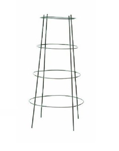 Supporto per <span class=keywords><strong>Piante</strong></span> <span class=keywords><strong>da</strong></span> Giardino in Acciaio per Peonie, Gabbia per <span class=keywords><strong>Fiori</strong></span> <span class=keywords><strong>Perenni</strong></span> <span class=keywords><strong>da</strong></span> <span class=keywords><strong>Esterno</strong></span> Resistente (3 X Supporto per Peonie) 54cm - Product Image 6