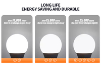 Ampoule LED Woojong A60 E27 13W Économie d'Énergie 115 Lm/W Certifiée Energy Star AC100-240V PF0.9 pour le Marché Taïwanais
