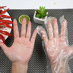Tek kullanımlık CPE/PE/LDPE biyobozunur eldiven temizleme ev mutfak gıda su geçirmez plastik eldiven