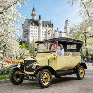 Auto Elettrica Stile Modello T per Turismo Retrò, Noleggio Stagionale, Tour Cittadini Natalizi, Conforme alle Norme E-mark UE - Product Image 5