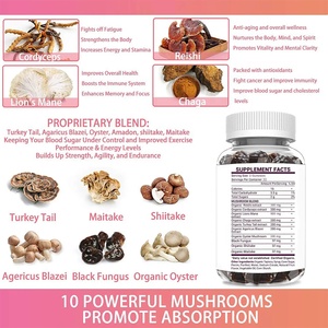 Extracto de hongo orgánico Lions Mane Mushroom Gummies Nootropic <span class=keywords><strong>Brain</strong></span> Suplemento Cordyceps Reishi Shitake Maitake Mushroom Gummy - Product Image 2