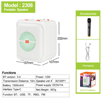 Mini Máquina de Karaoke con Altavoz Bluetooth, Micrófono Inalámbrico, Regalo de Cumpleaños para Niñas, Envío Inmediato, Venta al por Mayor, Tarjeta TF, USB, Aux, FM