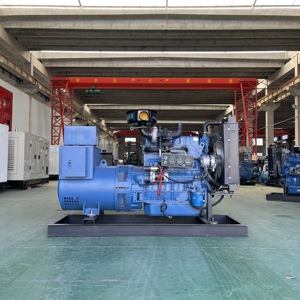 Groupe électrogène à châssis ouvert 40KW à structure robuste, démarrage à distance, 50Hz, entretien facile, fonctionnement continu, industriel TSL-40GF H - Product Image 1