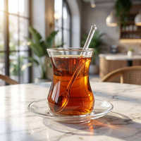 Ensemble de tasses à thé turques en verre borosilicate de haute qualité avec soucoupe et cuillère, 170 ml, résistant à la chaleur, passe au micro-ondes et au lave-vaisselle, design moderne transparent