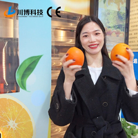 Machine à jus d'orange automatique professionnelle Chuanbo Technology OEM/ODM pour centres commerciaux