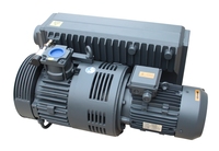 Bomba de Vacío de Paletas Rotativas de Hierro DLT.V0160, 160 M³/h, 5.5HP, Motor Trifásico, Vacío Último de -0.1mbar, Baja Presión, Uso Industrial