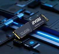 SSD M.2 NVMe Haute Vitesse 2280 OEM 256 Go 512 Go 1 To Pour Ordinateur de Bureau et Portable Disque Interne à État Solide